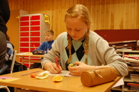 Skrivekurs NBskole  008  