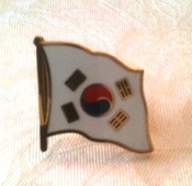 koreansk flagg pin