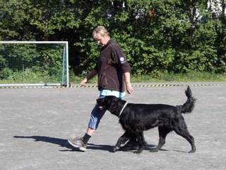 Dalane Hundeklubb. Bilde fra klubbens hjemmeside