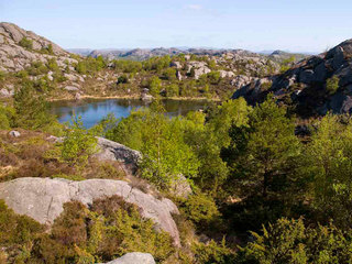 Vår i naturen