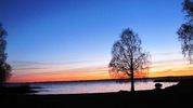 Ekodden 2010