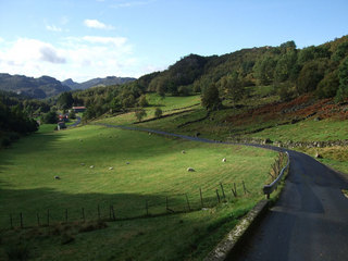 Møgedasveien
