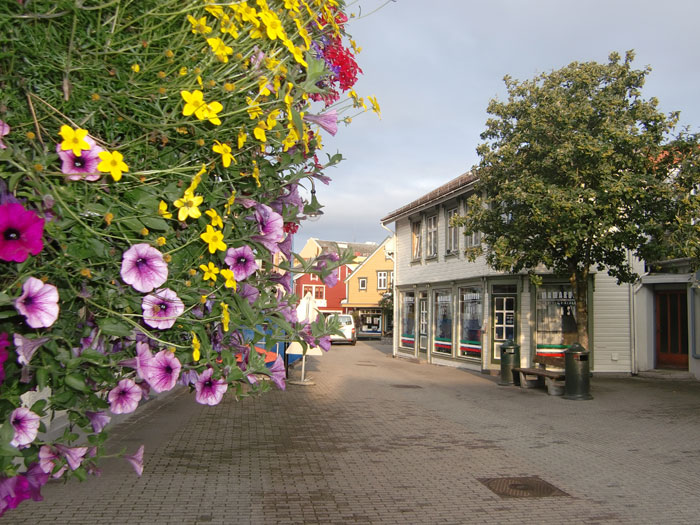Blomster i gågata