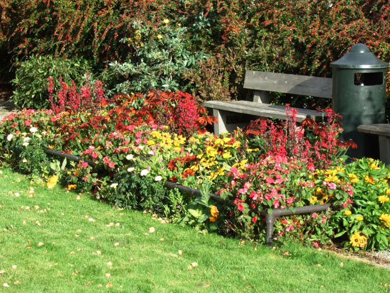  Utemilj&oslash; og vei - blomster