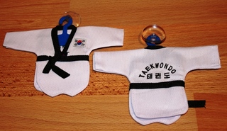 TKD mini drakt_700x405