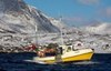 Fiskebåt - copyright Anne Olsen-Ryum Fiskebåt - copyright Anne Olsen-Ryum