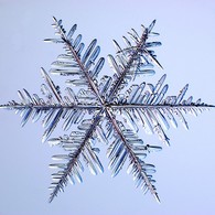 Snøkrystall2