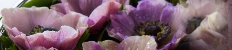 Blomster