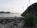 Nordre havn ved Narvarstranden.