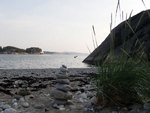 Nordre havn ved Narvarstranden.