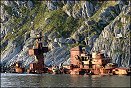 Den russiske krysseren Murmansk