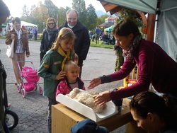 Helsestasjon for bamser og dukker, Torgdagen 10.9.11. Helsestasjon for bamser og dukker, Torgdagen 10.9.11.