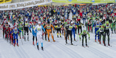 König Ludwig Lauf 2011 Magnus
sth König Ludwig Lauf 2011
