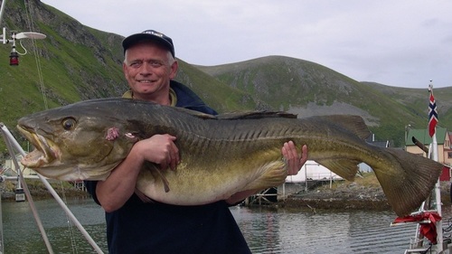 Foto: E. D. Husby Vinner eksemplaret. Torsk 28,92 kg