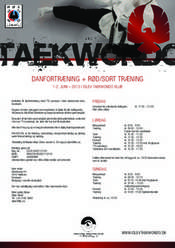 Danseminar2013_Islev_juni_300x300