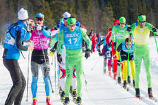 Intresset för Swix Ski Classics har ökat under 2013. Här täten under finalen i Årefjällsloppet. FOTO: Magnus Östh. Intresset för Swix Ski Classics har ökat under 2013. Här täten under finalen i Årefjällsloppet. FOTO: Magnus Östh.