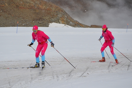 skidlandslaget damer skidlandslaget damer