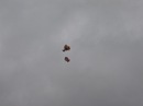 Ballongene er sluppet