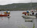 Barnasdag