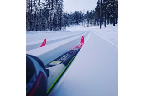 bild_redcreek_170310
