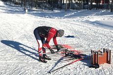 bild_swix_170311