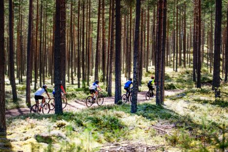 I dag blev Cykelvasan helt fulltecknat med 13 000 anmälda cyklister. I Cykelvasan Öppet Spår finns dock fortfarande platser kvar. FOTO: Vasaloppet. I dag blev Cykelvasan helt fulltecknat med 13 000 anmälda cyklister. I Cykelvasan Öppet Spår finns dock fortfarande platser kvar. FOTO: Vasaloppet.