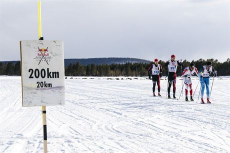 Red Bull Nordenskiöldsloppet är längre än något annat längdskidlopp. FOTO: Magnus Östh/Red Bull Content Pool. Red Bull Nordenskiöldsloppet är längre än något annat längdskidlopp. FOTO: Magnus Östh/Red Bull Content Pool.