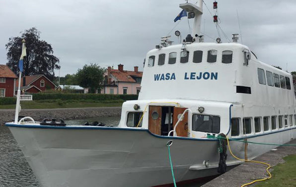 2d-wasa-lejon