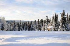 Det råder toppförhållanden inför finalen på Visma Ski Classics - sju mil långa Ylläs-Levi. FOTO: Magnus Östh. Det råder toppförhållanden inför finalen på Visma Ski Classics - sju mil långa Ylläs-Levi. FOTO: Magnus Östh.