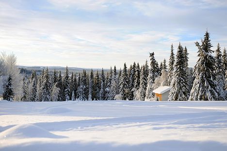 Det råder toppförhållanden inför finalen på Visma Ski Classics - sju mil långa Ylläs-Levi. FOTO: Magnus Östh. Det råder toppförhållanden inför finalen på Visma Ski Classics - sju mil långa Ylläs-Levi. FOTO: Magnus Östh.