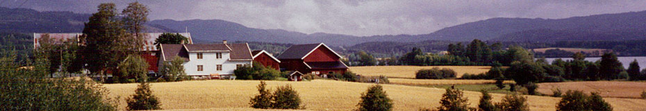 Bilde av Skjerven gård