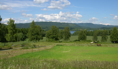 Beitemark på Låkeberget