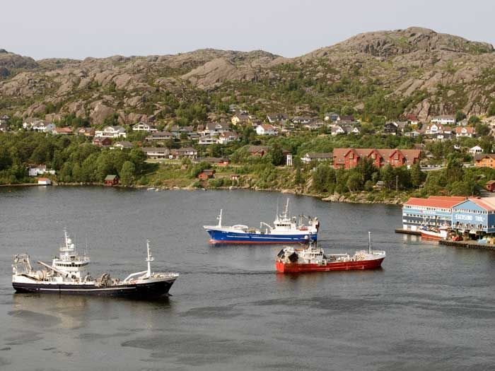 Egersund havn med båter