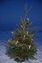 Juletrefest på Røde Kors-hytta - foto: Eva D. Husby