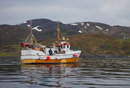 IMG 6470