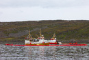 IMG 6518