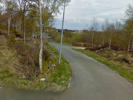 Ærfuglveien 5