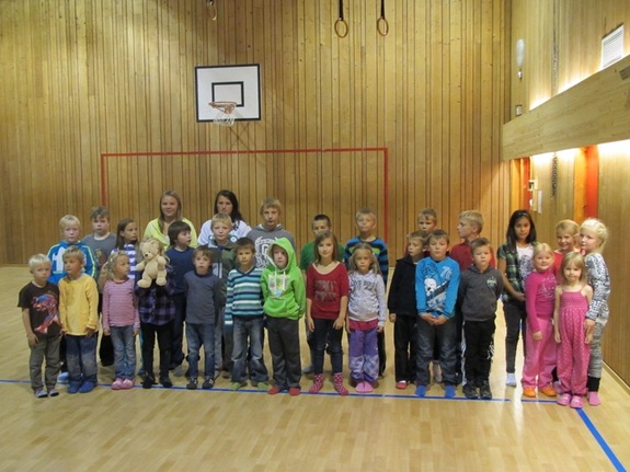 Skolevalg ved Breivikbotn skole