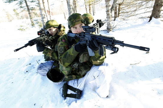 Soldater på vinterøvelse Cold Response 10. Foto: Forsvaret