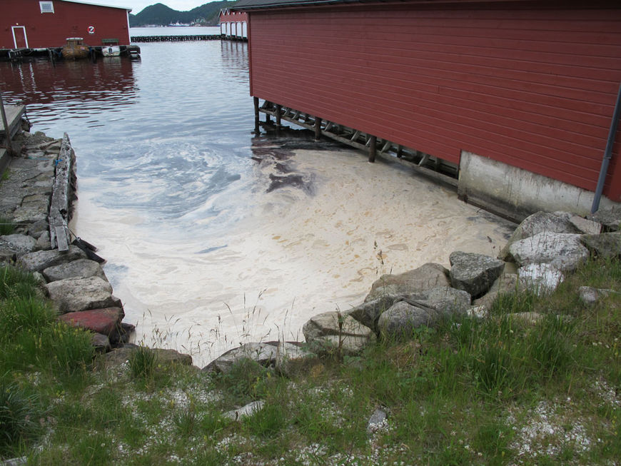 Bilde av utslip pav fiskefett Hovland Egersund Havn