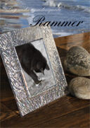 Forside Rammer