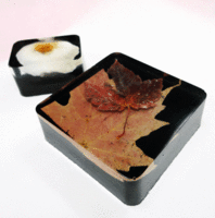 Paperweight-1