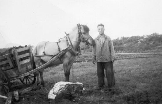 Torvkjøring med hest på Langmoa, ca. 1955. Originalbildet er lånt av Vidar Klaussen.