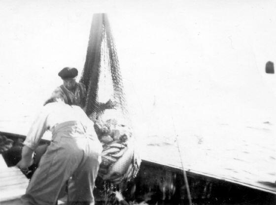Om bord i reketråleren M/S ”Trine”, heimehørende på Reinshaugen ca. 1962 Originalbildet er lånt av Eline Olsen