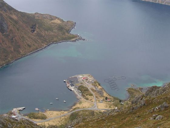 Jenn(skaret).jpg