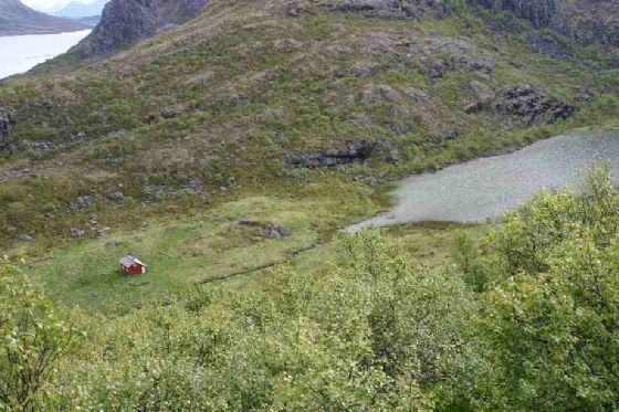 Røsshagen[1].jpg