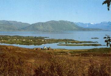 Bø prestegård midt i bildet ca. 1975 Bilde utlånt av Harald Larsen Bø prestegård midt i bildet ca. 1975 Bilde utlånt av Harald Larsen