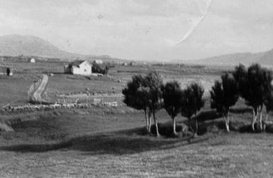 Fra Nordgård, Ramberg ca. 1947 Originalbildet er lånt av Jørgen Martinsen Fra Nordgård, Ramberg ca. 1947 Originalbildet er lånt av Jørgen Martinsen