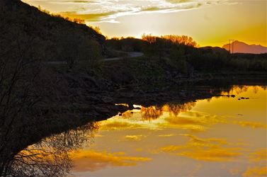 Gult landskap. Foto Jean R. Kolbjørnsen
