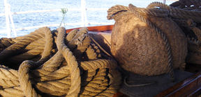 SAMSUNG DIGITAL CAMERA